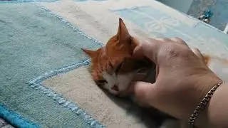 Отключили свет, развлекаемся с Юки