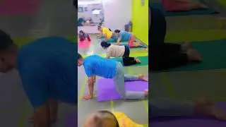 Backpain support #backpainsupport #backpainexercise #backpain #backpainrelief #backpainworkout