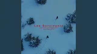 Finale Les Survivants