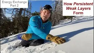 Energy Exchange Part 2 - Formation of Persistent Weak Layers