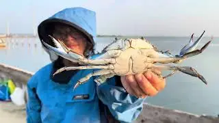 Crabbing - Wildwood New Jersey