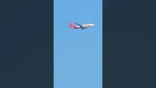 Lynx airlines🛩#shorts #shortsfeed #shortvideo #trending #lynx #airlines #viral #youtube #aviation
