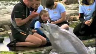 Stichting Sam Dolfijntherapie