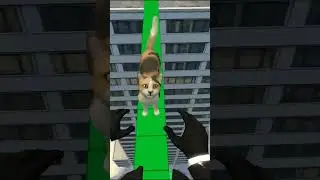 cat pants saved me from Lin gang melon! 😱🔥 #cat #meme #gmod