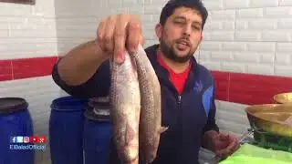 صدى البلد | «بيلا» .. هنا قلعة صناعة الفسيخ في كفر الشيخ.. الأسعار تبدأ من 70 إلى 100 جنيه للكيلو
