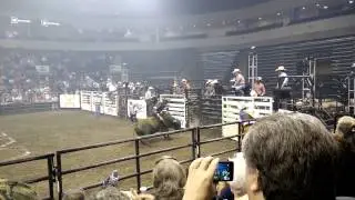 PBR Touring Pro Division