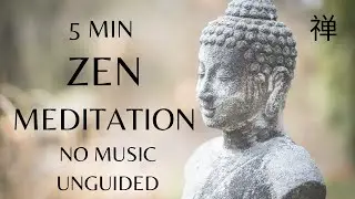 🕊️Zen for Peace: 5-Minute Meditation to Cultivate Serenity and Harmony (Unguided, No Music)