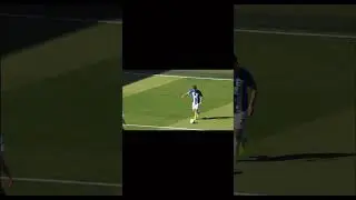Nick popes best saves for Newcastle #football