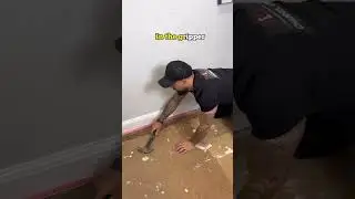 Как профессионально удалить ковровые захваты #ковёр #инструкция #шорты