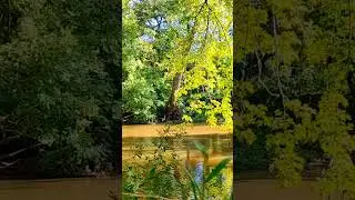 Pacific Winds by American Legion #relaxation #naturesounds