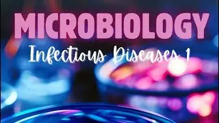 Introduction of microbiology + Bacteria Part 1 - Dr. Mostafa