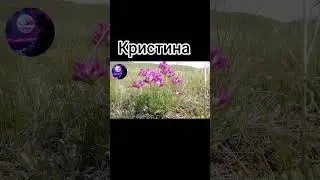 Кристина #музыка #коледнамузика #топ #новамузика #automobile #музыкаонлайн #music