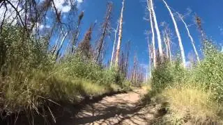 PST87 (Paiute Side Trail 87)