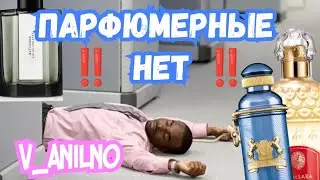 МОИ НОВИЧКИ ➕‼️ПАРФЮМЕРНЫЕ НЕТ спустя год