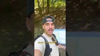 Keep the forest healthy!! #nature #mentalhealth #hiking