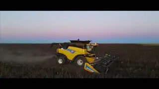 Faba beans Harvest  Walgett NSW Australia I 4K Drone Footage