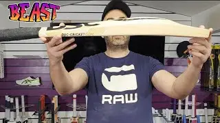 DSC XLITE SERIES CRICKET BAT REVIEW JANUARY 2026