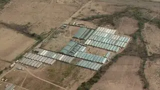 Navajo Nation files lawsuit against 33 farmers for illegal hemp, marijuana growing