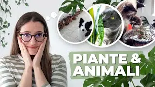 TIPS e TRUCCHI per la CONVIVENZA | Piante e Animali | Piante Pet-friendly vs Tossiche