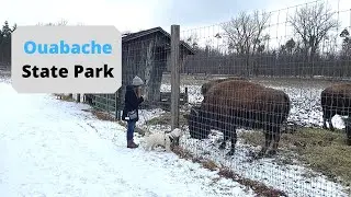 Hiking at Ouabache State Park