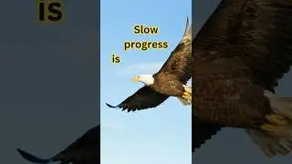 Slow Progress #changeyourmindsetchangeyourlife #quotes #motivation