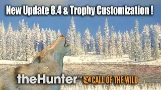 Новое обновление 8.4: патч и настройка трофеев! - theHunter Call of the wild