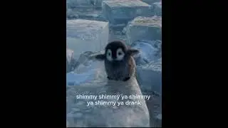 Inspiring.. #penguin #king