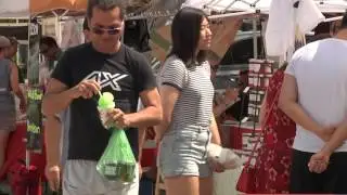 Westchase District Farmers Market: About the Market
