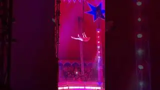 Circus Arena - Akrobatik Show von Ariel 🤩