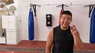 Workout für Kampfsportler Vol. 4