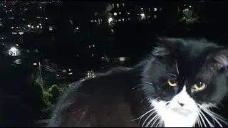 Silent Live Stream | Real-Time Mobile Camera | Relaxing Background Live | Watch Hours Support