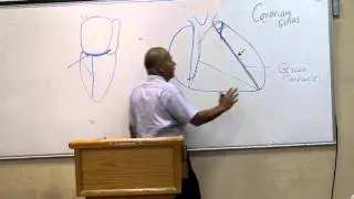 CVS Block Lec4   Prof Wagih   