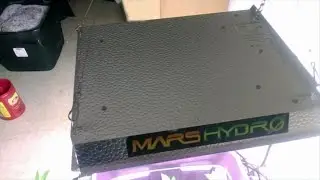 S07E02 Indoor Vegging Marijuana Plants Under MARS HYDRO TS 600W