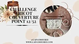 Challenge tricot Lain’amourée • Point 12/52 • Point de pistils
