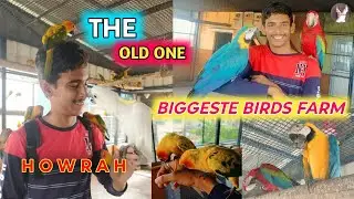 HOWRAH BIGGESTE BIRDS FARM VISIT || EXOTIC BIRDS SETUP OLD VIDEO #parrot #viral #birds #roniaviary 