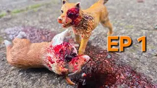 ~The SSP~ |Downfall| EP 1 Toy Wolf / Dog Series