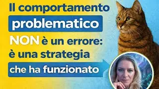 Il comportamento problematico del tuo gatto non è un errore