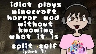 Idiot Plays Split Self