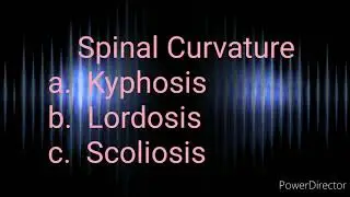 Common Postural Deformities