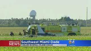 Plane Crashes After Declaring Mid-Air Emergency Near Miami Executive Airport