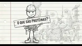 O que são as Proteína - Explicado na construção civil