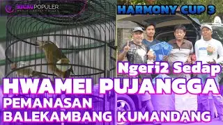 Hwamei Pujangga Pemanasan Balekambang Kumandang 2019 - Solo | Harmony Cup 3