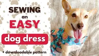 SEWING AN EASY DOG DRESS ❤️ BEGINNERS EASY DIY CLOTHES FOR DOGS + DOWNLOADABLE PATTERN