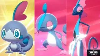 Obtaining 007 to 009 Sobble, Drizzile & Inteleon (Normal & Shiny) Pokemon Sword + Shield