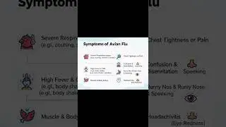 Symptoms of Avian Flu: Key Warning Signs