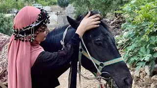 ڤڵۆگی کوردی kurdish vlog کێ دێ بچین بۆ لادێ بۆ ماڵی پورم؟لە لادێ چیمان کرد
