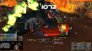 WoW TBC - feral druid - 2.6k dps on Brutallus