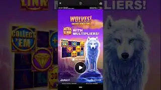 Hard Rock Bet App Wolves #casino #gambling #slots #hardrock 