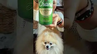 Пробуем Пиво Чанг, Купленное в России #пиво #дегустацияпива