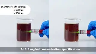 Graphene Oxide dispersion